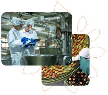 Imagens da GLP para indústria de alimentos